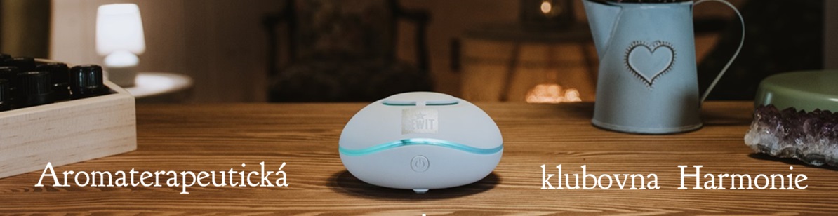 Pen�ze le�� na internetu!